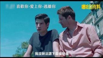 轻吻在线观看,浪漫邂逅，心动瞬间