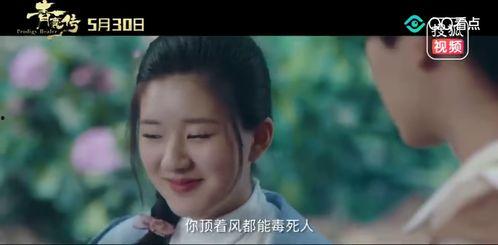 青囊传电视剧全集在线观看,揭秘古代医术传奇，探寻神秘家族传承之谜