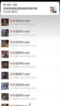 2016在线观看,2016年网络视频观看趋势盘点