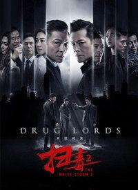 扫毒 在线观看,卧底风云，生死较量