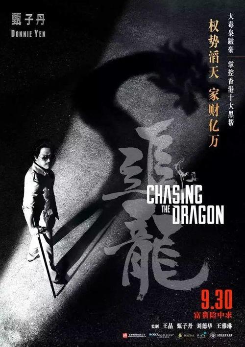 追龙电影在线观看,巅峰对决，传奇再续