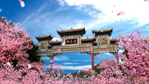 桃花源在线观看,在线探寻世外桃源的奇幻之旅