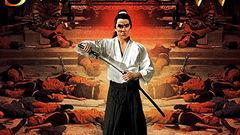 金燕子在线观看,在线重温经典武侠传奇