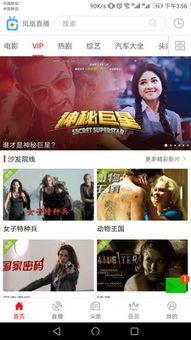 凤凰直播在线观看,实时热点，一键掌握