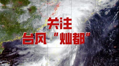台风直播在线观看,台风来袭，共筑安全防线