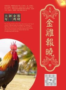 金鸡在线观看,畅享云端观影新体验