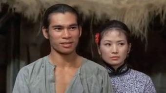 刺马在线观看,揭秘古代刺客传奇，在线观看带你领略江湖风云