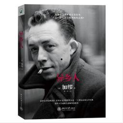 异乡人在线观看,漂泊他乡的奋斗与情感之旅