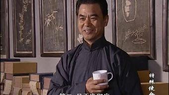 特殊使命40集在线观看,揭秘40集悬疑剧情，在线观看等你揭秘
