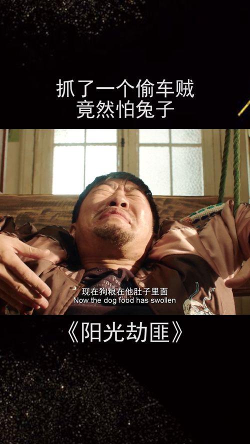 兔兔电影在线观看,畅享云端观影新体验