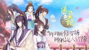 通灵妃在线观看,穿越时空的奇幻之旅