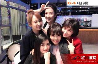 欢乐颂2全集在线观看,续写都市女性的奋斗传奇