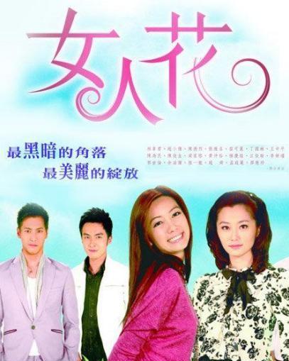 台湾电视剧在线观看,在线观看指南