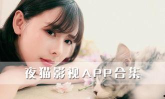 夜猫在线观看,揭秘深夜网络世界的魅力与挑战