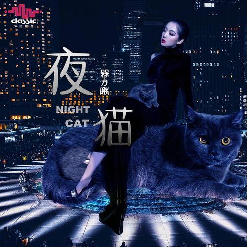夜猫在线观看,揭秘深夜网络世界的魅力与挑战