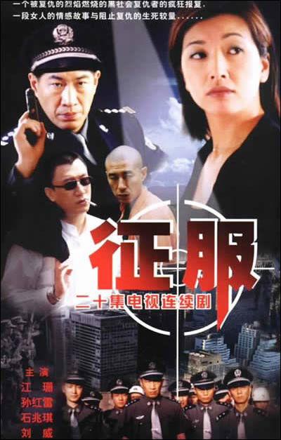 电视剧征服在线观看,权谋与情感交织的官场风云