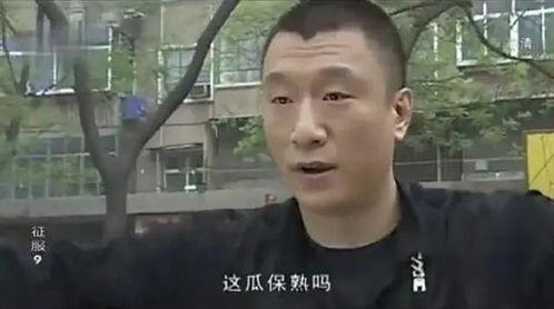 电视剧征服在线观看,权谋与情感交织的官场风云