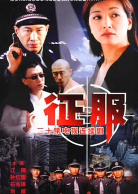 电视剧征服在线观看,权谋与情感交织的官场风云
