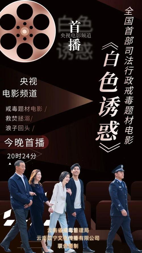cctv6电影直播在线观看,尽享精彩瞬间，畅享在线观影盛宴