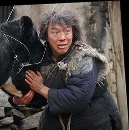 斗牛电影在线观看,热血激战，在线观影盛宴