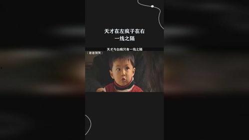 天才在左疯子在右在线观看,揭秘“天才在左疯子在右”的在线观看之旅