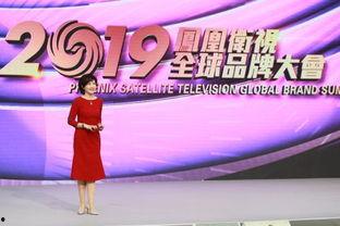 在线观看凤凰卫视,全球视野下的华人视角